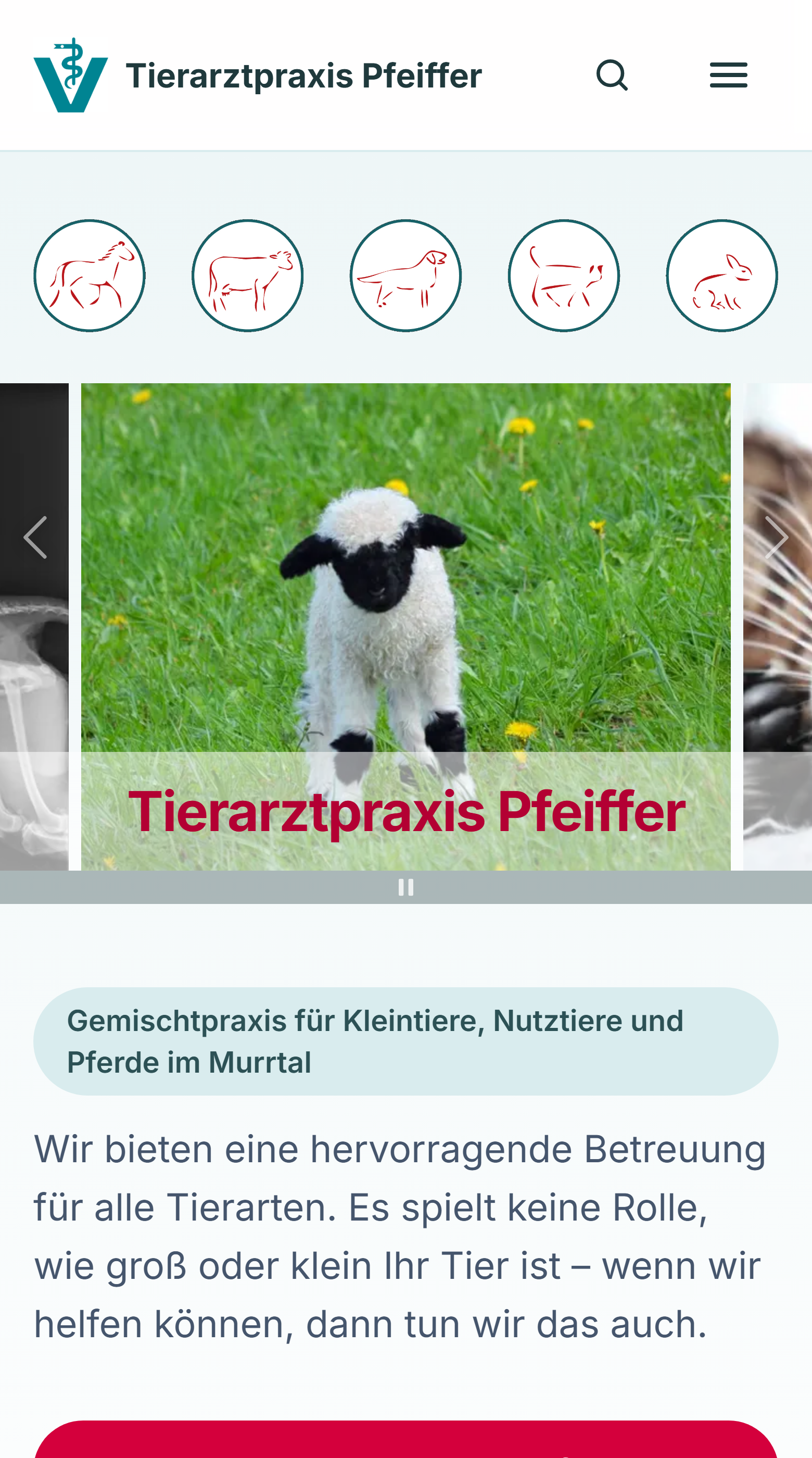 Die neue Website auf dem Handy